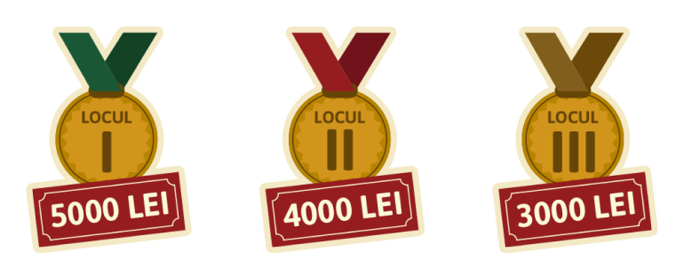 premii_regionale_echipa